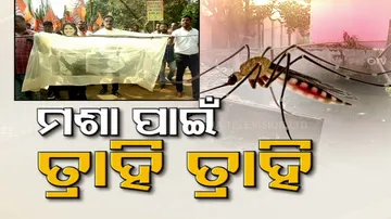 Mosquito menace in Cuttack & Bhubaneswar 