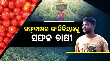 Odisha Engineer Turned Farmer