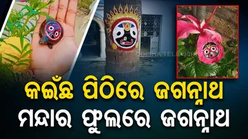 artist Swarnalata Jena 