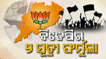 BJP Strategy For General Election 2024