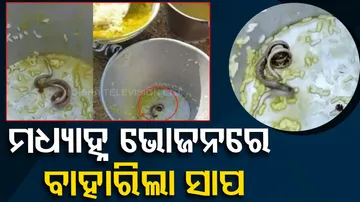 Snake Found In Mid-Day Meal In West Bengal