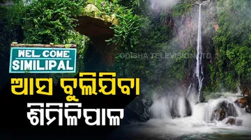 Tourists throng Similipal tiger reserve as winter sets in Mayurbhanj