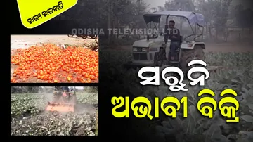 Not ending the Chapter of Poor sales