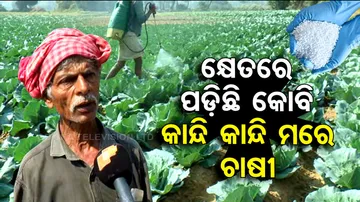 farmers’ requirements