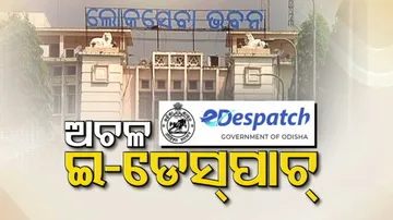 Not Working e-Despatch System