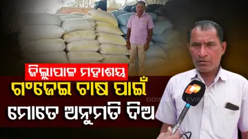 Farmer in Bolangir asks Collector to allow him to cultivate ganja through letter