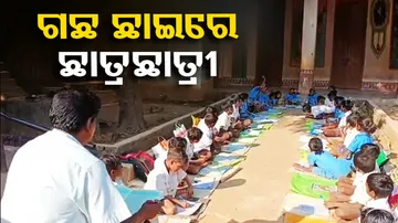 Lack of school building forces children to study under tree in Nabarangpur