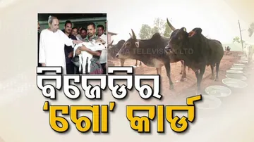 Odisha CM Naveen Patnaik visits goushala, opposition smells rat