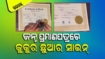 Puppy Signs Its Birth Certificate With Paw Prints