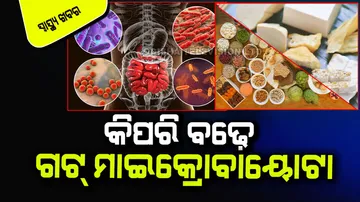 What are prebiotics and probiotics?