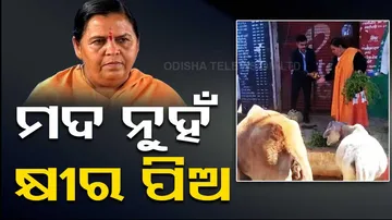 BJP's Uma Bharti Ties Stray Cows In Front Of Liquor Shop