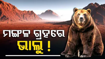 NASA captures photo of 'bear's face'