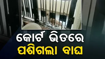 Leopard Attack In Ghaziabad Court