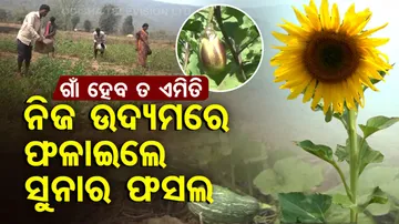 Farmers turn barren land