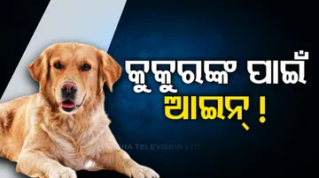 Pet Animal Guidelines In Bhubaneswar