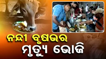 death ritual feast of a bull