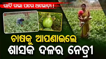 Former BJD politician 