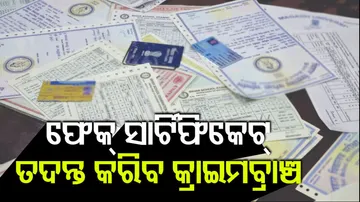 Fake Certificate Racket In Odisha