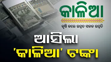 Odisha CM Naveen Patnaik  KALIA Assistance For Farmers