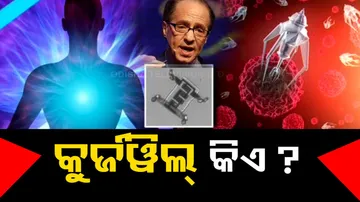 Former Google Scientist Ray Kurzweil