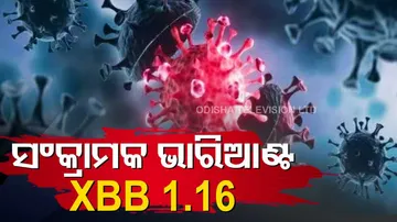 Covid New Variant XBB 1.16 In India