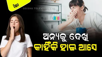 Why Do We Yawn Itself Seeing Others Yawning