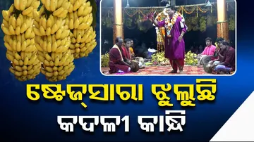 Locals Enjoy Pala In Niali In A Different Way