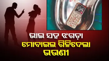 Brother Sister Quarrel 