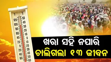 Heat Stroke Death In Maharashtra 