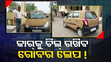 Cow Dung On Car To Beat Heat