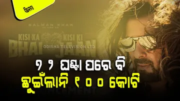 Kisi Ka Bhai Kisi Ki Jaan Box Office Collection