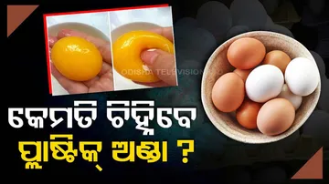 Egg Identification Guide