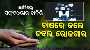 Infosys Engineer Quits Job to Become Brinjal Farmer in Japan