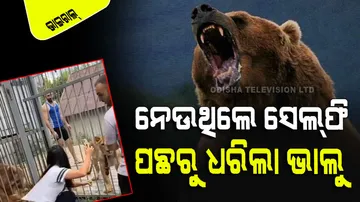 Bear Attack Viral Video