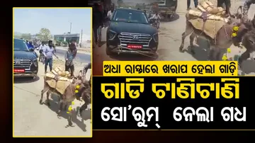 Viral Video: Man Gets Car Pulled By Donkeys