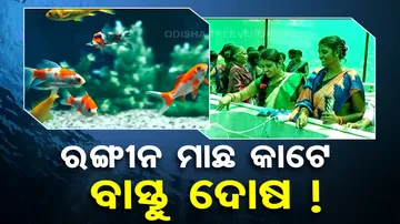 Ornamental Fish Farming In Odisha