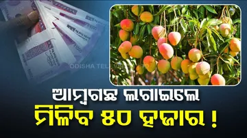 Saghan Bagwani Yojana