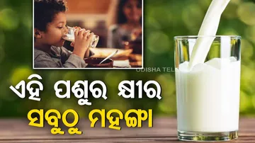 Worlds Most Expensive Milk