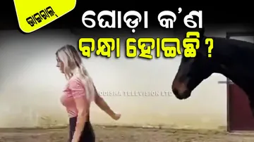 The horse thought that it was tied in a rope but the reality is different