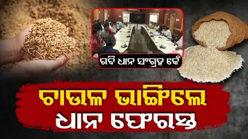 Paddy procurement 