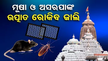 Special arrangements