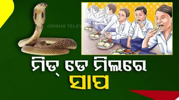 Dead snake found in mid-day meal