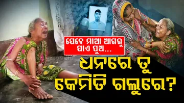 Migrant labourer, Migrant Death