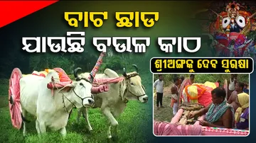 Puri Srimandir for Rath Yatra