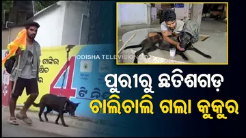 dog walks behind owner from puri to chhattisgarh