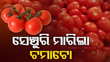 Pricey tomatoes burn holes in consumers’ pockets in Odisha