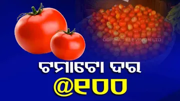 Tomato Price Hike