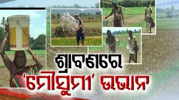 absence of monsoon rain