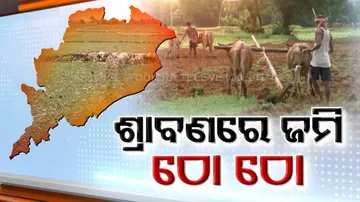 Odisha Farmers stare at uncertainty over scanty rainfall 