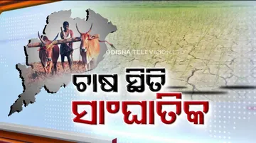 Scanty rainfall in Odisha